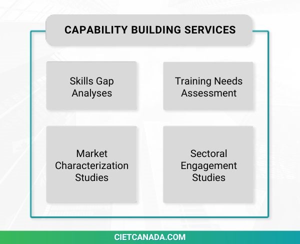 An infographic of CIET's Capability Building Services. Text reading: Skills gap analyses, training needs assessment, market characterization studies, sectoral engagement studies